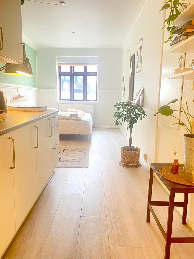 En Lille Hel Lejlighed I Midtbyen - Centralt, Hyggelig Og Taet Pa Alt! Randers Esterno foto